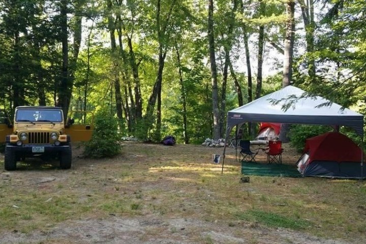 a truck is parked in front of a tree